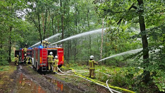 Najwyższy stopień zagrożenia pożarowego w lasach woj. lubuskiego