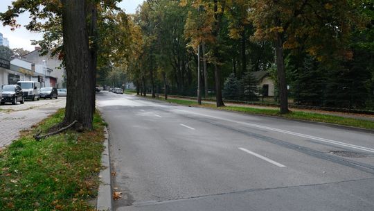 Nie będzie wycinki drzew na Kosynierów Gdyńskich