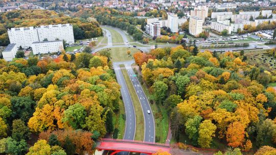 Niebezpieczne wybryki nastolatków w Gorzowie