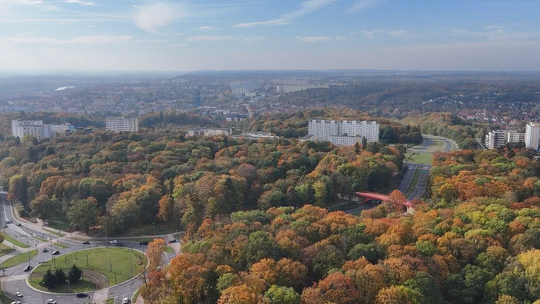 Niebezpieczne zabawy w gorzowskim parku