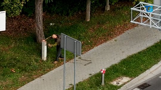 Niecodzienne sceny w Gorzowie. Mieszkaniec nagrał wszystko