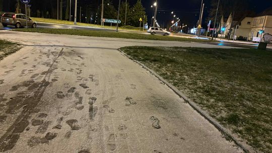 Niecodzienni goście w gorzowskim parku – pojawili się wieczorem Niecodzienni goście w gorzowskim parku – pojawili się wieczorem