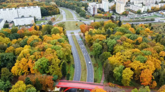 Nieodpowiedzialne zachowanie nastolatków w jednym z gorzowskich parków