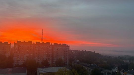 Niepokojące zdarzenie w jednym z bloków w Gorzowie. „To było ohydne!”