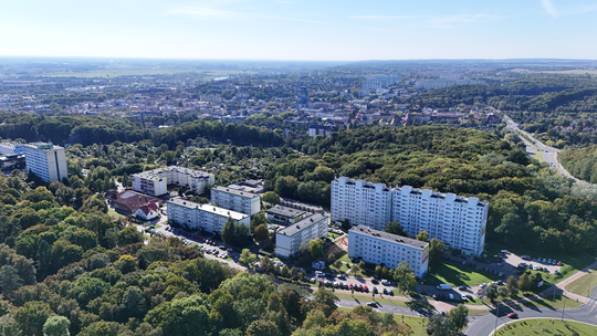 Niepokojące znalezisko w jednym z gorzowskich parków