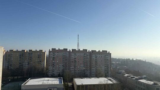 Nietypowy komunikat na końcu ulotki. Może uratować przed oszustwem Nietypowy komunikat na końcu ulotki. Może uratować przed oszustwem