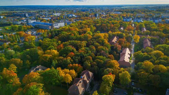 Nowa jednostka już zatwierdzona. Co zmieni się od 2026 roku w pomocy społecznej?