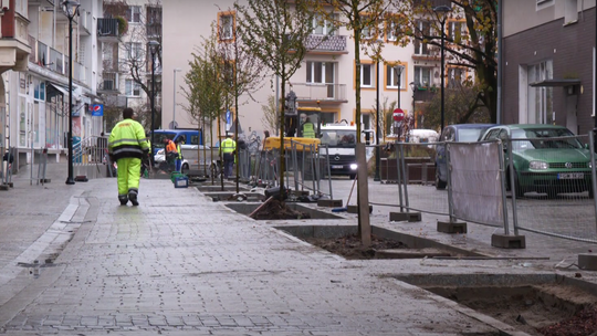 Nowe nasadzenia na ul. Hawelańskiej