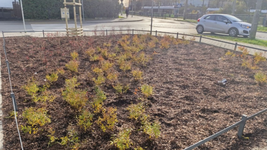 Nowy eko-skwer na Piaskach już gotowy. Zmieniono zdegradowany teren