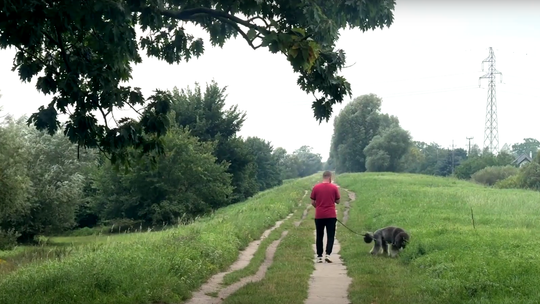 Nowy szlak spacerowo-biegowy powstaje w Gorzowie