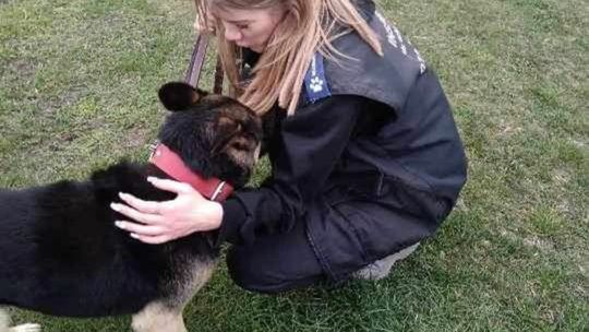 OTOZ Animals – Inspektorat Gorzów kończy działalność. Ważna zmiana od 1 marca 2026