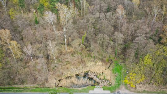 Park Czechówek w Gorzowie przejdzie metamorfozę za 1,2 mln zł