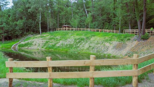 Park Czechówek znów otwarty. Gorzów odzyskał zieloną perełkę po gruntownej rewitalizacji