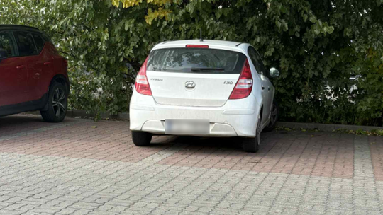 Parkowanie po gorzowsku. Dwa miejsca? Żaden problem
