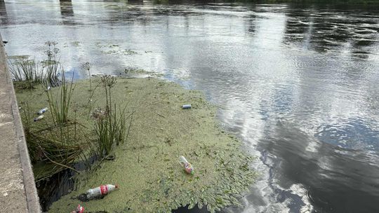Plastikowe butelki zamiast w koszu – lądują w rzece