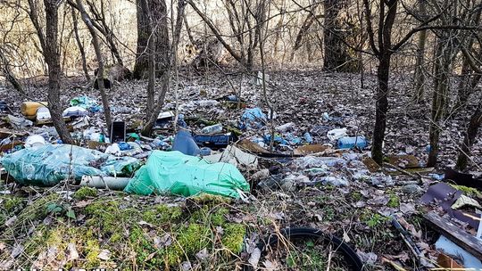 Pod osłoną drzew pozbywają się odpadów. Policja ostrzega przed konsekwencjami