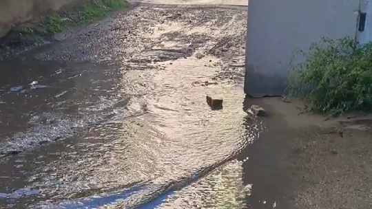 Podwórko w centrum Gorzowa do remontu. ZGM czeka na decyzję wspólnot