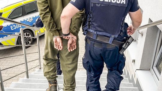 Policja zatrzymała podejrzanego w sprawie zabicia czterech psów