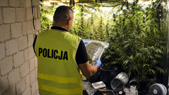 Policjanci weszli na posesję i dokonali zaskakującego odkrycia. Dwaj mężczyźni z zarzutami