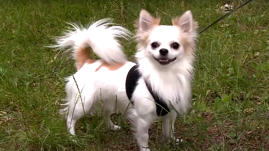 Polska z rekordowo niską dzietnością