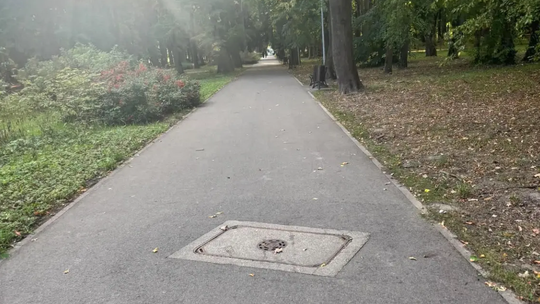 Poranek w Parku Kopernika przyniósł niespodziankę. Dwa nieproszone goście na ścieżce