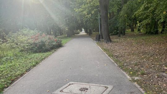 Poranny spacer w Gorzowie i nagle takie spotkanie. Mieszkanka ostrzega innych