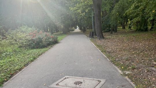 Poranny spacer w jednym z gorzowskich parków przyniósł mieszkance niespodziewane spotkanie