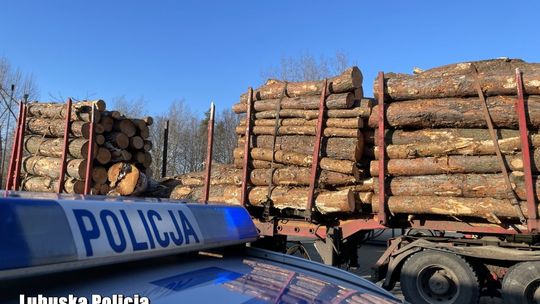 Potężne kłody drewna wypadły na jezdnię i chodnik