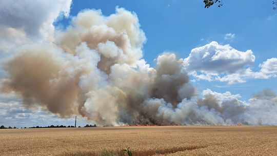 Pożar pod Gorzowem