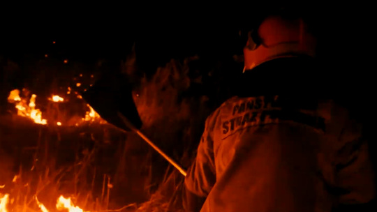 Pożary traw zbierają śmiertelne żniwo