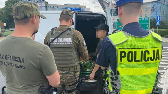 Prawie milion kontroli na granicy. Służby podsumowały 11 miesięcy działań