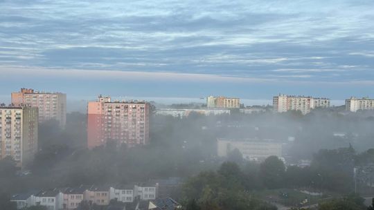 Problem wraca do gorzowskich bloków. Mieszkańcy mówią o coraz trudniejszych nocach