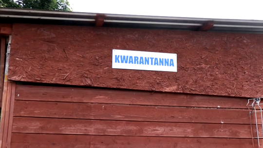 Radni interweniują w sprawie schroniska. Chcą zmian w ważnym obszarze