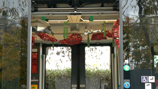 Rogale świętomarcińskie w tramwajach. Gorzów na trasie słodkiej akcji Rogale świętomarcińskie w tramwajach. Gorzów na trasie słodkiej akcji