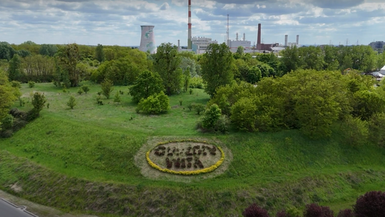 Roślinny napis „Gorzów Wita” niszczeje. Radny interweniuje, miasto odpowiada