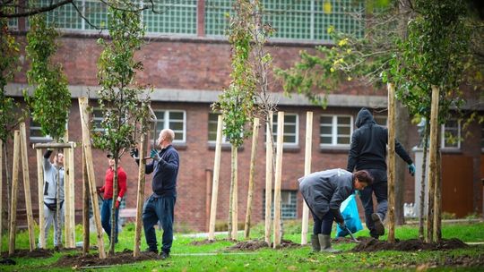 Rusza zielona akcja w mieście. To zmieni miejską przestrzeń Rusza zielona akcja w mieście. To zmieni miejską przestrzeń