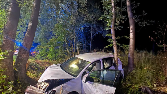 Samochód uderzył w drzewo. W środku były cztery osoby