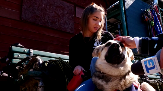 Schronisko już szykuje czerwcowe wydarzenie i apeluje o pomoc