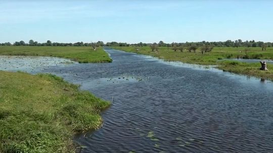 Senacka Komisja Klimatu i Środowiska obradowała w Lubuskiem