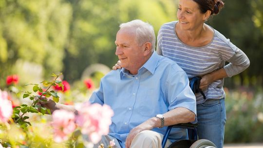 Seniorzy zostaną bez pomocy. Blokada wiz pogłębia kryzys