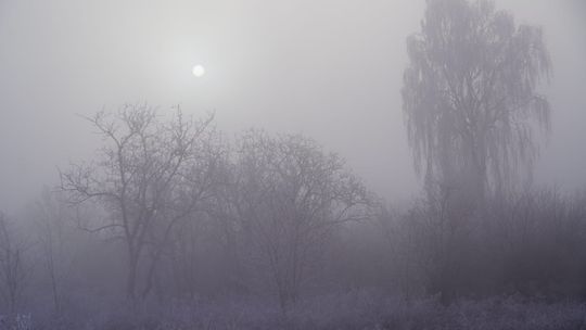 Silne wiatry - pogoda na najbliższe dni w Gorzowie