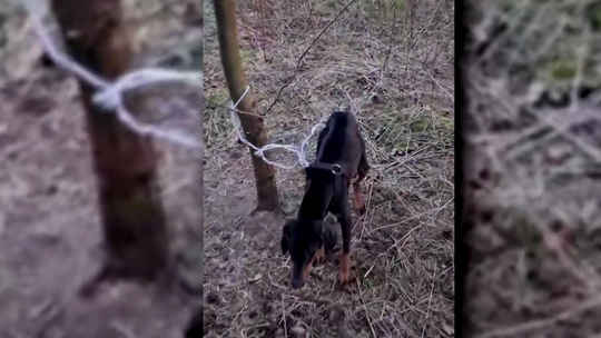 Sprawa, która poruszyła Gorzów. Zapadł wyrok po dwóch latach