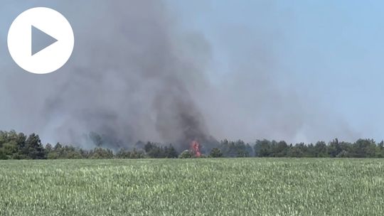 Strażacy walczą z żywiołem!