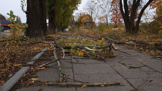 Synoptycy ostrzegają przed silnymi porywami wiatru!