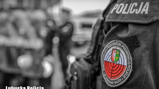 Tajemnicze zwłoki koło Moguncji. Niemiecka policja prosi Polaków o pomoc