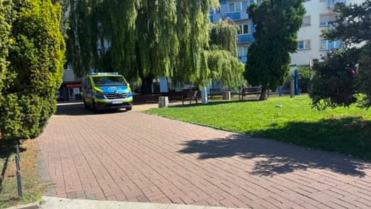 „Tak nie powinno wyglądać centrum miasta”. W Gorzowie chcą konkretnych działań