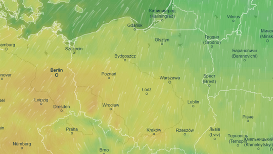 To już koniec zimy. Prognozy pokazują że od jutra wiosna.