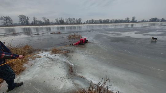 To wydarzyło się nad Odrą. Ostrzeżenie dla mieszkańców i właścicieli zwierząt