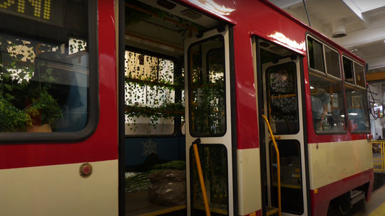 Tramwaj pełen eko atrakcji rusza w Gorzowie. Zabawa i edukacja przez całe wakacje