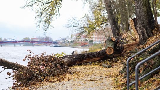 Uwaga! Alert dla Gorzowa i okolic